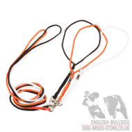 Bulldog Show Lead and Collar of Round Nylon 2-in-1