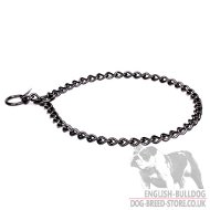 Collar for English Bulldogs