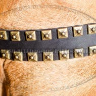 Bullmastiff Collar Caterpillar Design Leather with Brass Studs