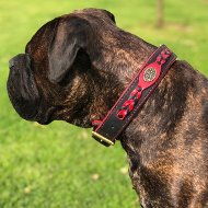 Bullmastiff Leather Collar "Heavy Fire" Nappa Padded