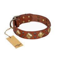 Collar for English Bulldog by FDT Artisan "Flight of Fancy" Collar for English Bulldog by FDT Artisan "Flight of Fancy"