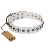 Collar for English Bulldog Walking "Midnight Stars" FDT Artisan Collar for English Bulldog Walking "Midnight Stars" FDT Artisan