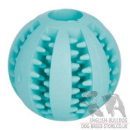 Dental Health Dog Toy Ball for Bulldog Training