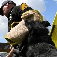 Dog Bite Arm Sleeve and Jute Cover for IGP Training