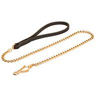 Dog Chain Leash UK