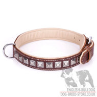 Dog Collar for British Bulldog "Pyramid" of Brown Leather