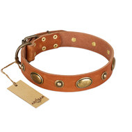 Dog Collar for English Bulldog "Visual Magic" FDT Artisan Beige Dog Collar for English Bulldog "Visual Magic" FDT Artisan Beige