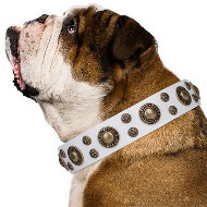 Dog Collar for English Bulldog "White Gentle Feather" Artisan Dog Collar for English Bulldog "White Gentle Feather" Artisan