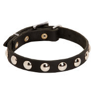 Dog Collar for Pug Walking of Narrow Leather with Studs Row