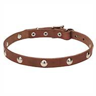 English Bulldog Collar Necklace with Shiny Chrome Plated Studs
