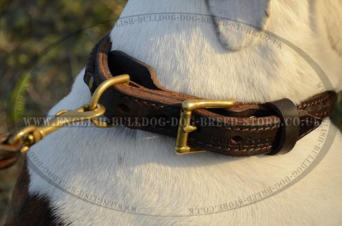 Leather Dog Collar UK