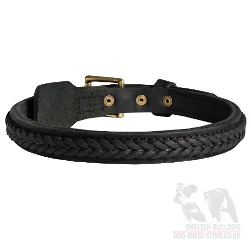 Boxer Leather Dog Collar