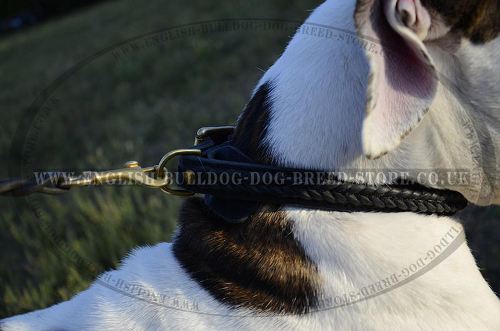 Leather Dog Collar UK