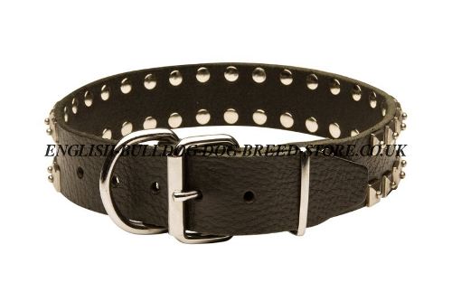 Wide Leather Dog Collar