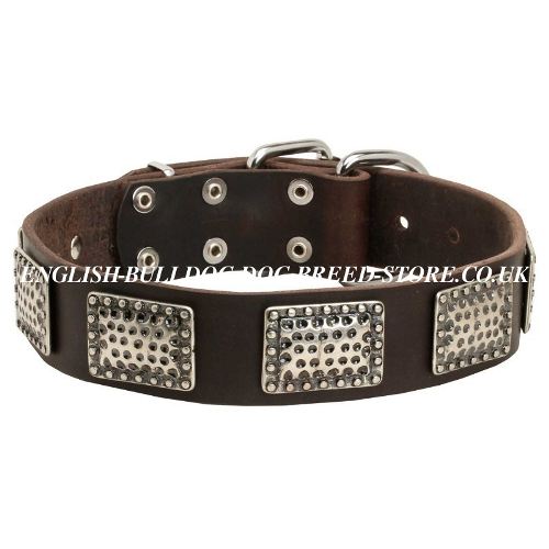 Large Dog Collar