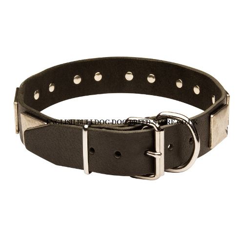 Large Leather Dog Collar