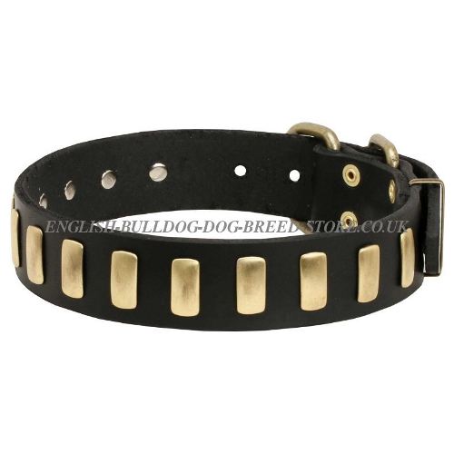 Handmade Dog Collar