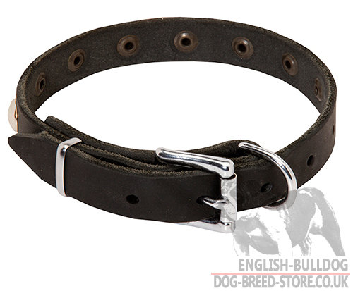 Leather Dog Collar