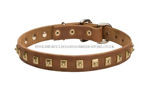 Bulldog Collar