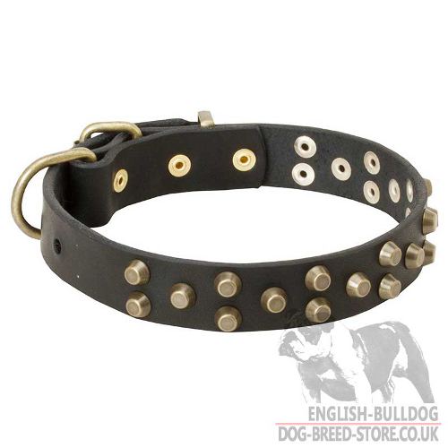 Leather Dog Collar