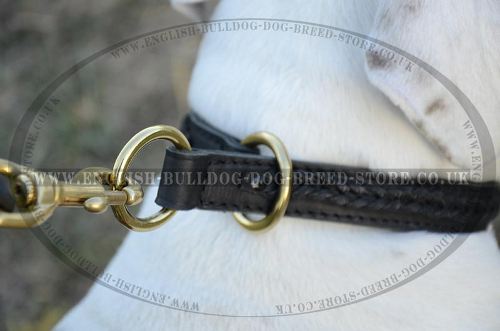 Choker Collar