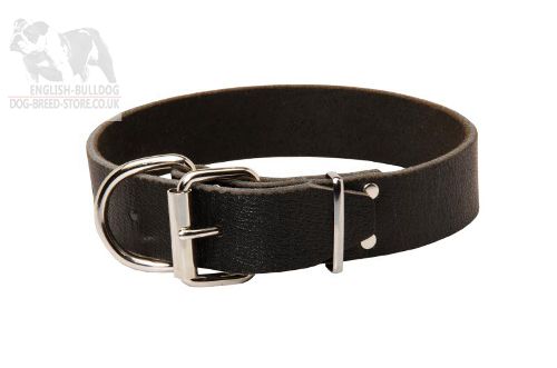 Leather Dog Collar