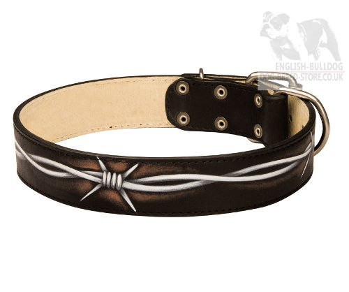 Designer Dog Collar