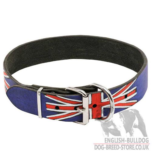 English Bulldog Collars UK