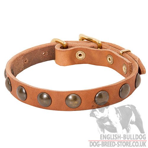 Small Dog Collar in Tan Leather for Bulldog