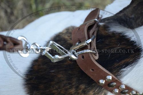 Custom Dog Collar UK