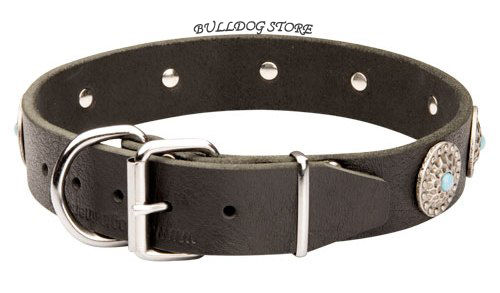 Leather Dog Collar