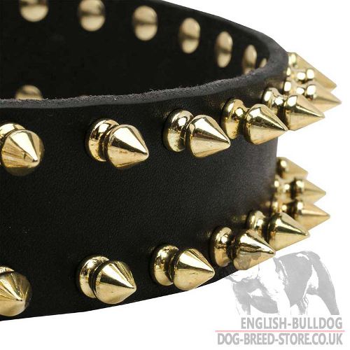 Spiked Dog Collar UK