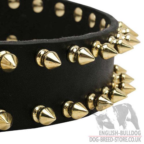 Spiked Dog Collar