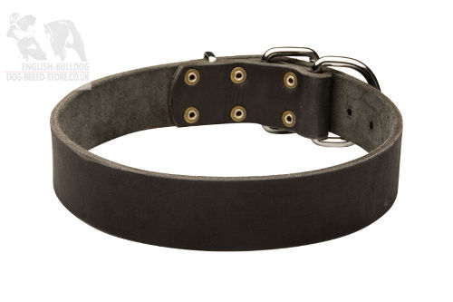 Bulldog Collar