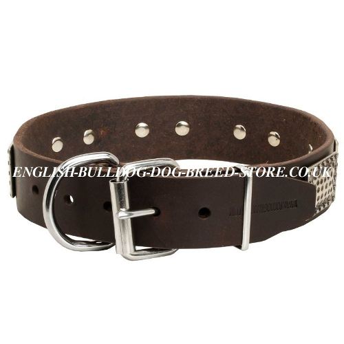 Large Dog Collars