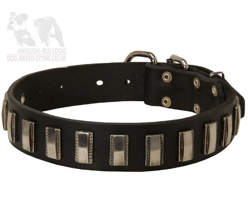 Stylish Dog Collar for Bullmastiff UK