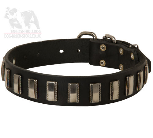 Stylish Dog Collar