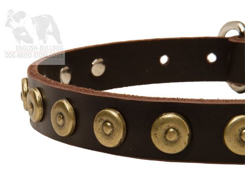 Studded Dog Collar