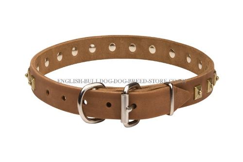 Designer Dog Collar