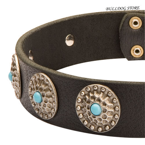 Fashion Dog Collar