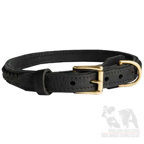 Leather Braided Dog Collar