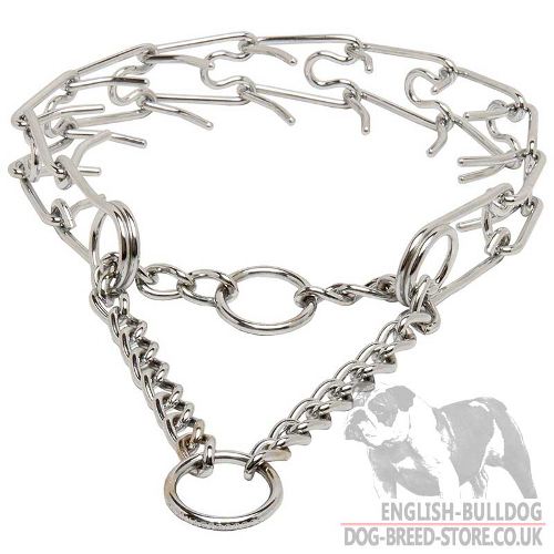 Martingale Dog Collar