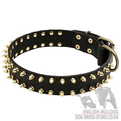 Spiked Leather Dog Collar UK