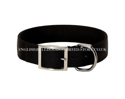 Fabric Dog Collar UK