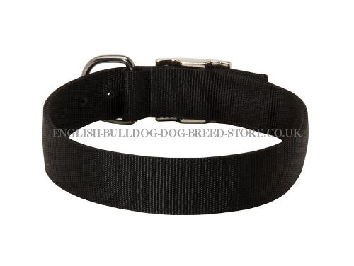 Nylon Dog Collar UK