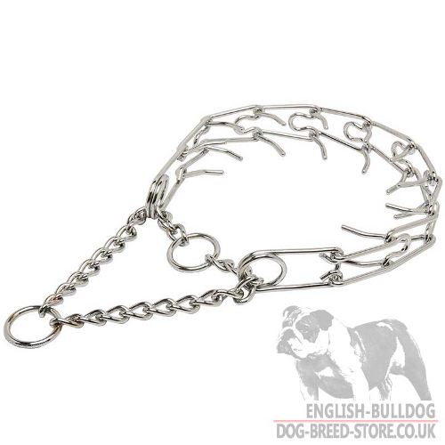 Dog Pinch Collar