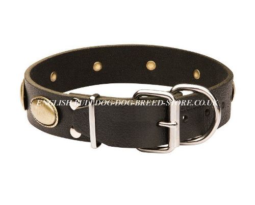 Retro Dog Collars