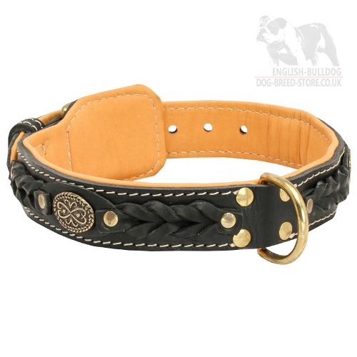 Royal Dog Collar