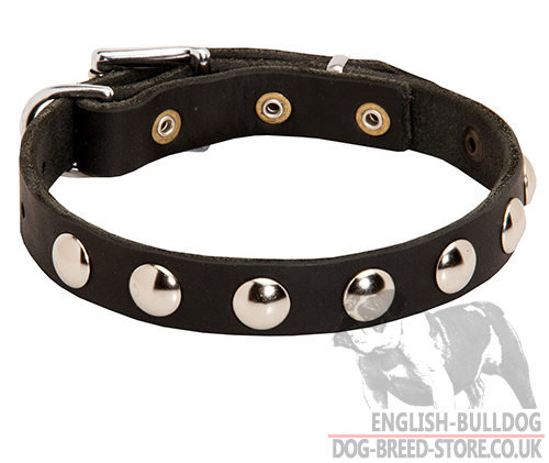 Small Dog Collar