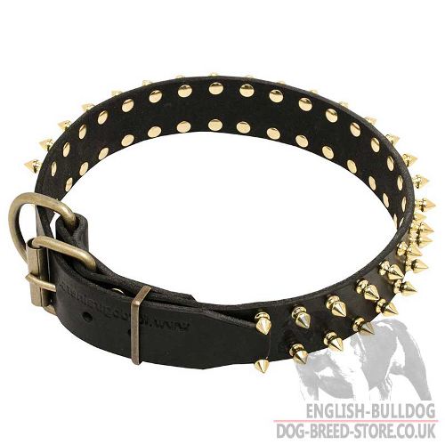 New Dog Collar UK